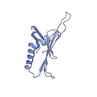 23336_7lhd_EH_v1-1
The complete model of phage Qbeta virion