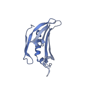 23336_7lhd_EJ_v1-1
The complete model of phage Qbeta virion