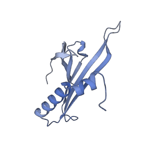 23336_7lhd_EM_v1-1
The complete model of phage Qbeta virion