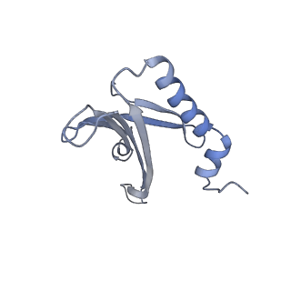 23336_7lhd_FE_v1-1
The complete model of phage Qbeta virion