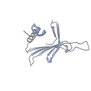 23336_7lhd_FF_v1-1
The complete model of phage Qbeta virion