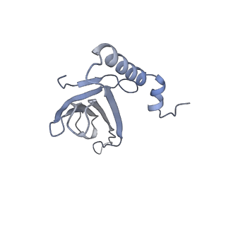 23336_7lhd_FI_v1-1
The complete model of phage Qbeta virion
