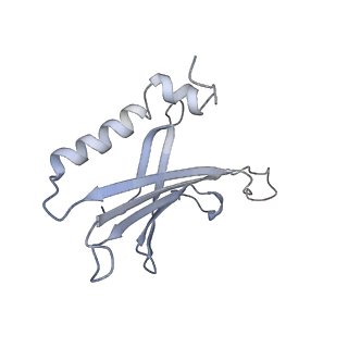 23336_7lhd_FK_v1-1
The complete model of phage Qbeta virion