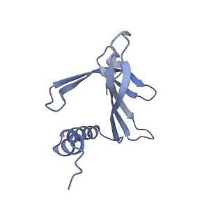 23336_7lhd_FM_v1-1
The complete model of phage Qbeta virion