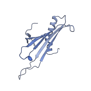 23336_7lhd_FN_v1-1
The complete model of phage Qbeta virion