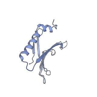 23336_7lhd_GA_v1-1
The complete model of phage Qbeta virion