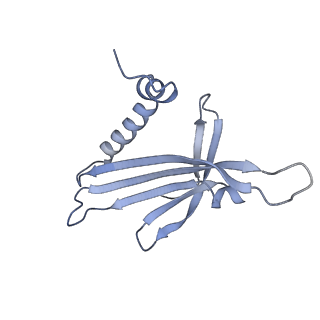 23336_7lhd_GD_v1-1
The complete model of phage Qbeta virion