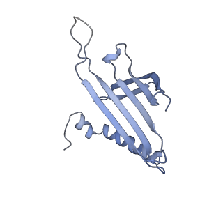 23336_7lhd_GE_v1-1
The complete model of phage Qbeta virion