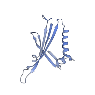 23336_7lhd_GG_v1-1
The complete model of phage Qbeta virion