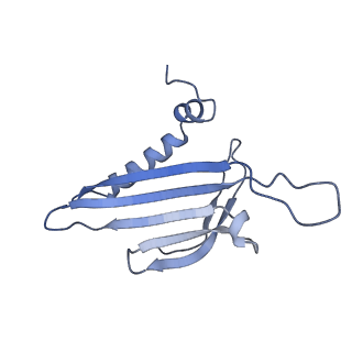 23336_7lhd_GH_v1-1
The complete model of phage Qbeta virion