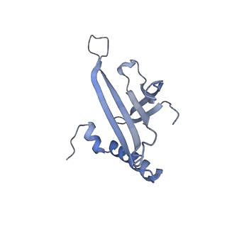 23336_7lhd_GI_v1-1
The complete model of phage Qbeta virion