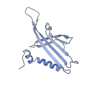 23336_7lhd_GJ_v1-1
The complete model of phage Qbeta virion