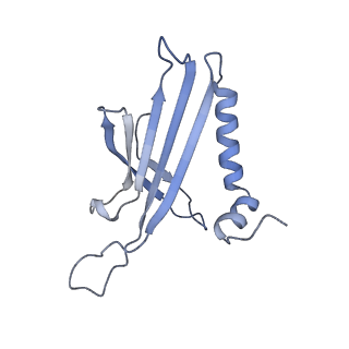23336_7lhd_GK_v1-1
The complete model of phage Qbeta virion