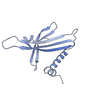 23336_7lhd_GM_v1-1
The complete model of phage Qbeta virion