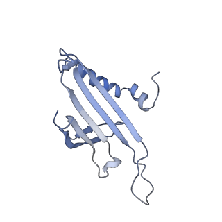 23336_7lhd_GN_v1-1
The complete model of phage Qbeta virion