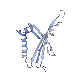 23336_7lhd_HB_v1-1
The complete model of phage Qbeta virion
