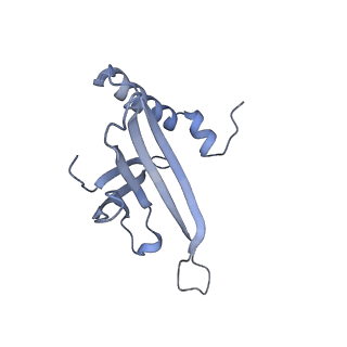 23336_7lhd_HD_v1-1
The complete model of phage Qbeta virion