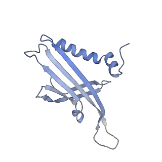23336_7lhd_HE_v1-1
The complete model of phage Qbeta virion