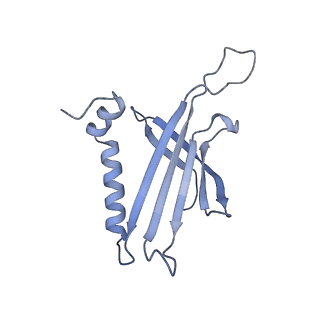 23336_7lhd_HF_v1-1
The complete model of phage Qbeta virion