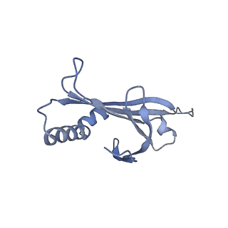 23336_7lhd_HK_v1-1
The complete model of phage Qbeta virion