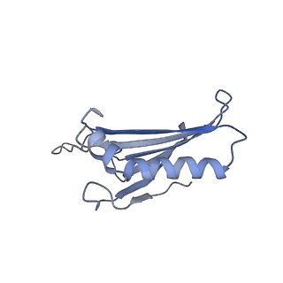 23336_7lhd_HL_v1-1
The complete model of phage Qbeta virion