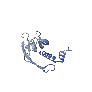 23336_7lhd_HM_v1-1
The complete model of phage Qbeta virion
