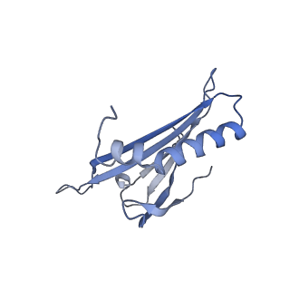 23336_7lhd_IB_v1-1
The complete model of phage Qbeta virion