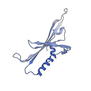 23336_7lhd_IC_v1-1
The complete model of phage Qbeta virion