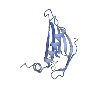 23336_7lhd_ID_v1-1
The complete model of phage Qbeta virion