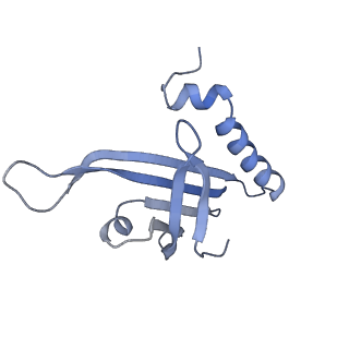 23336_7lhd_IF_v1-1
The complete model of phage Qbeta virion