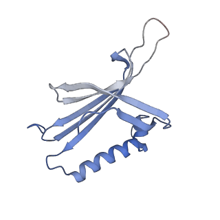 23336_7lhd_IG_v1-1
The complete model of phage Qbeta virion