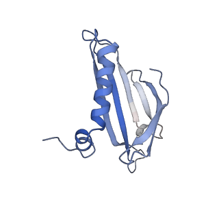 23336_7lhd_IH_v1-1
The complete model of phage Qbeta virion