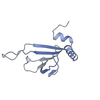 23336_7lhd_IJ_v1-1
The complete model of phage Qbeta virion