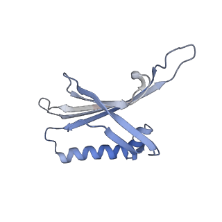 23336_7lhd_IK_v1-1
The complete model of phage Qbeta virion