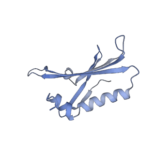 23336_7lhd_IL_v1-1
The complete model of phage Qbeta virion