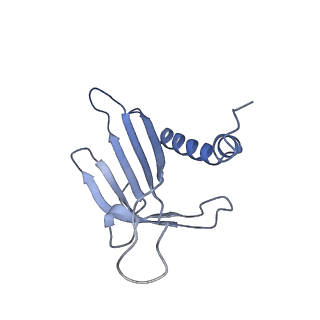 23336_7lhd_IM_v1-1
The complete model of phage Qbeta virion