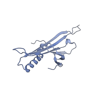 23336_7lhd_IN_v1-1
The complete model of phage Qbeta virion