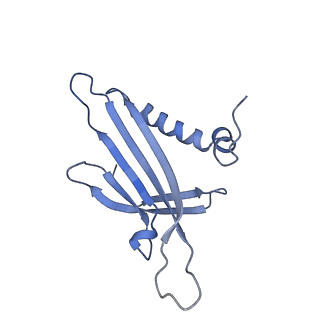 23336_7lhd_JC_v1-1
The complete model of phage Qbeta virion
