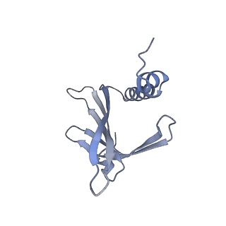 23336_7lhd_JD_v1-1
The complete model of phage Qbeta virion