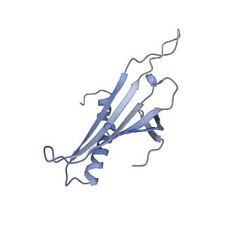23336_7lhd_JE_v1-1
The complete model of phage Qbeta virion