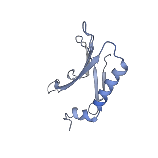 23336_7lhd_JF_v1-1
The complete model of phage Qbeta virion