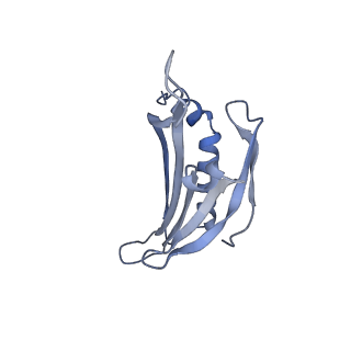 23336_7lhd_JG_v1-1
The complete model of phage Qbeta virion