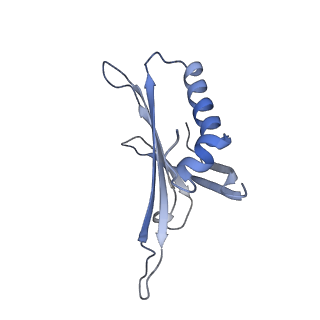 23336_7lhd_JI_v1-1
The complete model of phage Qbeta virion