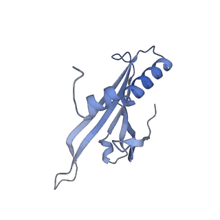 23336_7lhd_JJ_v1-1
The complete model of phage Qbeta virion