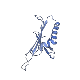 23336_7lhd_JN_v1-1
The complete model of phage Qbeta virion