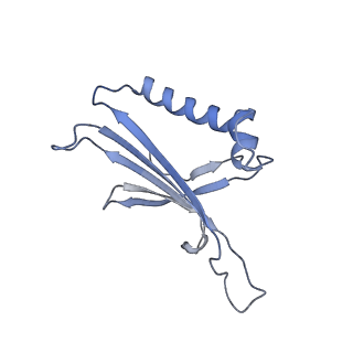 23336_7lhd_KC_v1-1
The complete model of phage Qbeta virion