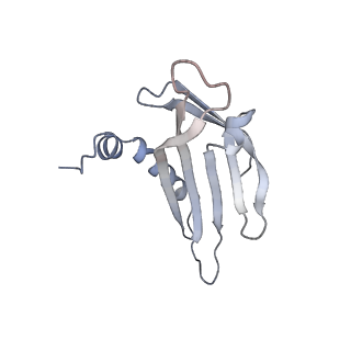 23336_7lhd_KE_v1-1
The complete model of phage Qbeta virion