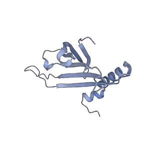 23336_7lhd_KF_v1-1
The complete model of phage Qbeta virion
