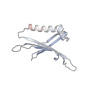 23336_7lhd_KG_v1-1
The complete model of phage Qbeta virion