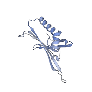 23336_7lhd_KH_v1-1
The complete model of phage Qbeta virion